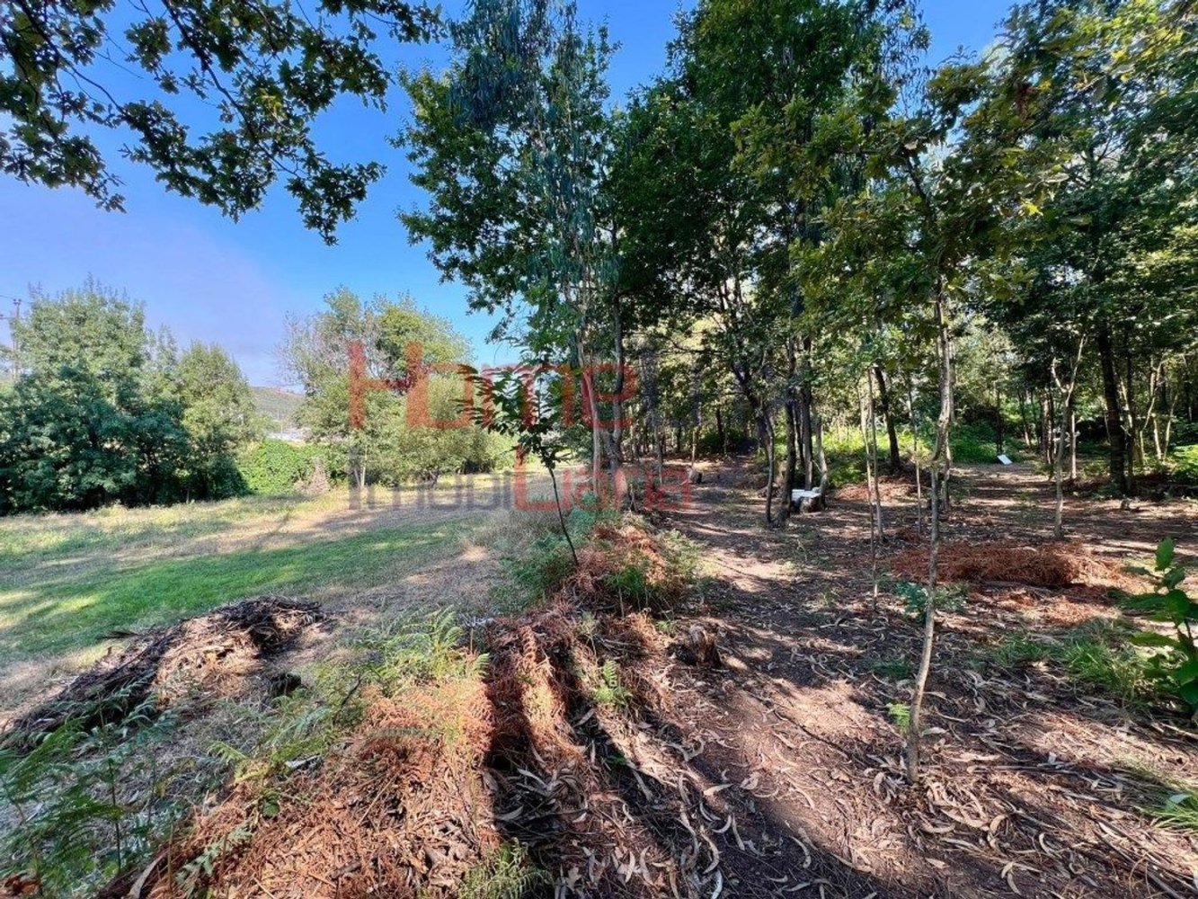  Land in Valongo, Portugal No. 218028