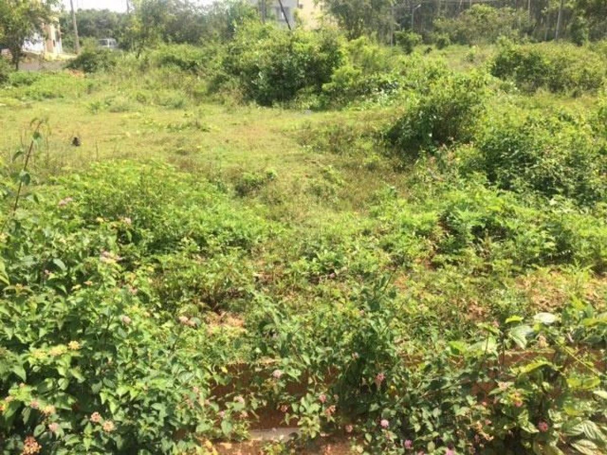  قطعة أرض في Bangalore, India رقم 31627