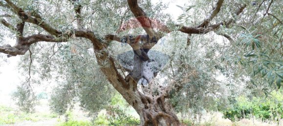 3 غرف نوم منزل في Chiaramonte Gulfi, Italy رقم 346083 7