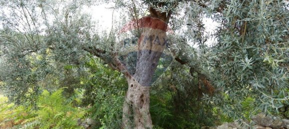 3 غرف نوم منزل في Chiaramonte Gulfi, Italy رقم 346083 22