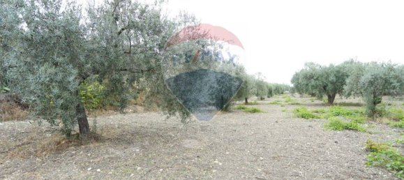 3 غرف نوم منزل في Chiaramonte Gulfi, Italy رقم 346083 25