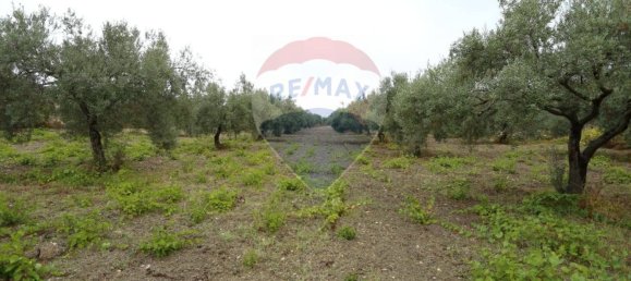 3 غرف نوم منزل في Chiaramonte Gulfi, Italy رقم 346083 24