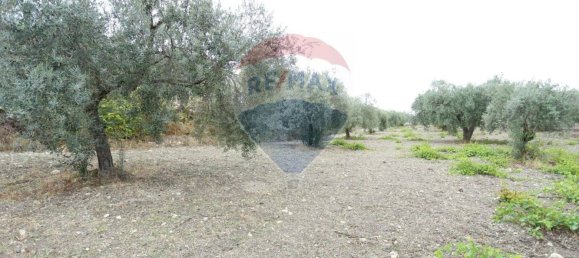 3 غرف نوم منزل في Chiaramonte Gulfi, Italy رقم 346083 21