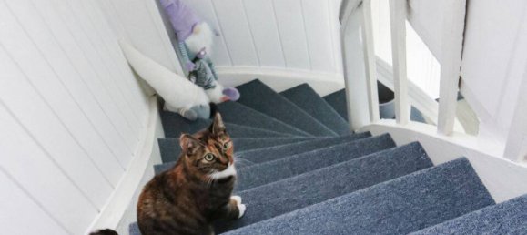 Таунхаус с 3 комнатами в Stralsund, Германия № 366189 15