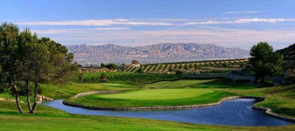 2 Schlafzimmer Villa in Algorfa, Spain, Nr. 10641 26