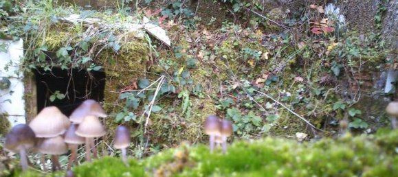 1 Schlafzimmer Haus in Brion, Spain, Nr. 166055 22