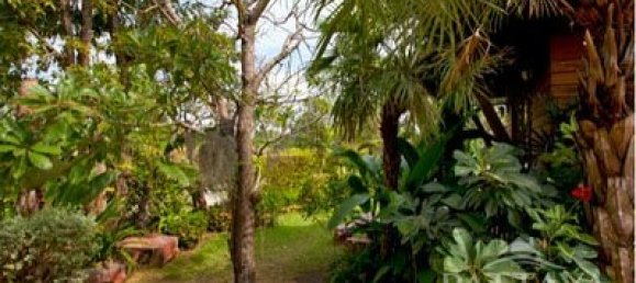 Café / restaurante T2 em Pattaya, Thailand N.º 1548 18