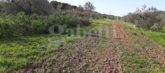 6176m² Land in Gavorrano, Italy No. 85821 3