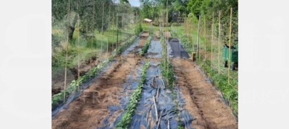 6176m² Land in Gavorrano, Italy No. 85821 9