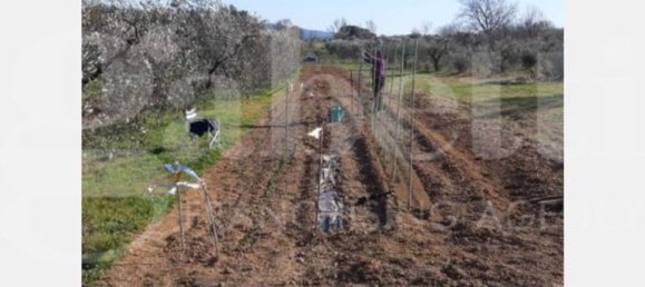 6176m² Land in Gavorrano, Italy No. 85821 8