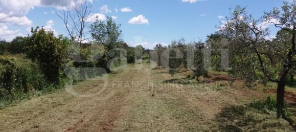 6176m² Land in Gavorrano, Italy No. 85821 10