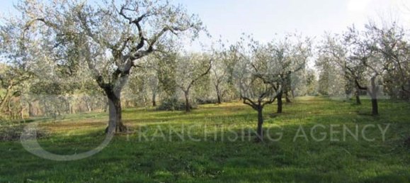 6176m² Land in Gavorrano, Italy No. 85821 4