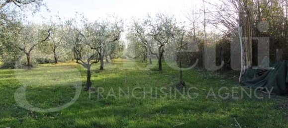 6176m² Land in Gavorrano, Italy No. 85821 5