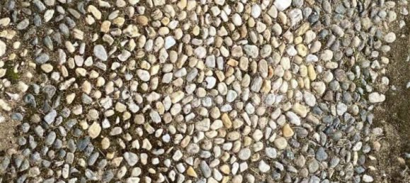 1 bedroom Apartment in Cossato, Italy No. 125009 13