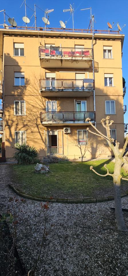 3 rooms Apartment in Cologna Veneta, Italy No. 236047