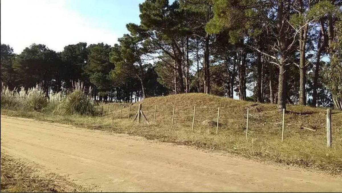 Земельный участок в Мар-дель-Плата, Аргентина № 112476