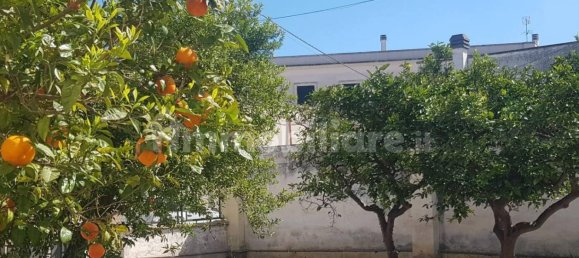 2 Schlafzimmer Haus in Veglie, Italy, Nr. 319305 11