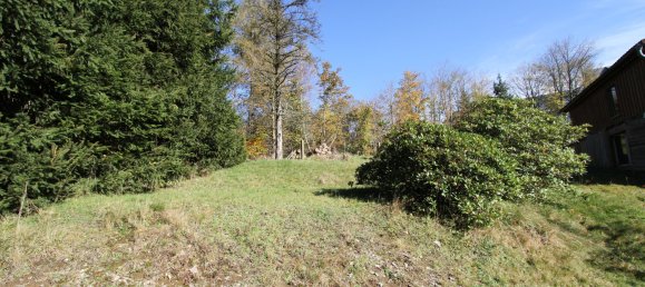 4غرفة منزل في Hildburghausen, Germany رقم 145131 9