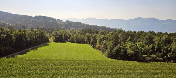 Studio in Feldkirch, Austria No. 236338 15