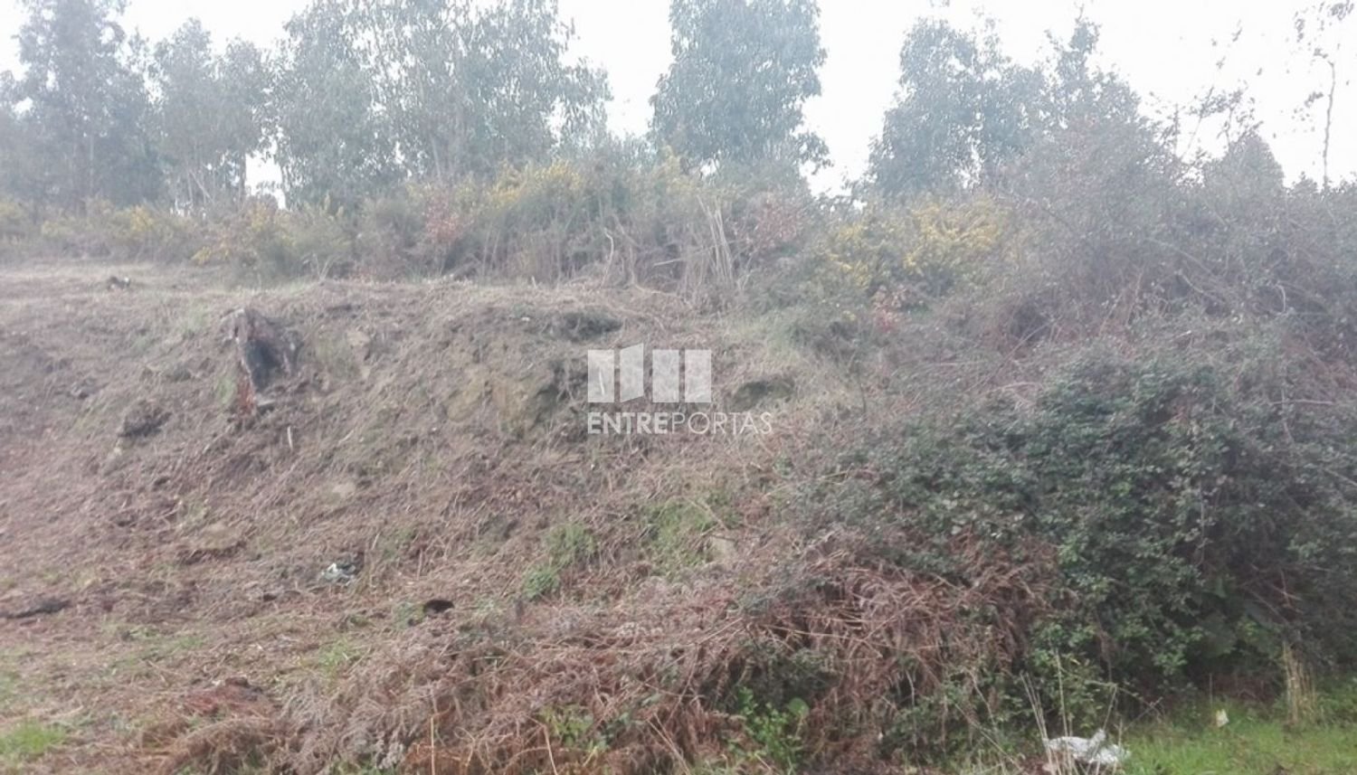 Grundstück in Marco de Canaveses, Portugal 7350m², Nr. 57726