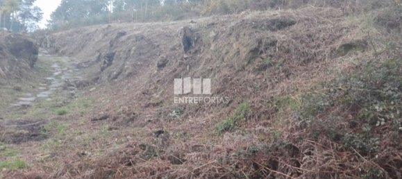 Grundstück in Marco de Canaveses, Portugal 7350m², Nr. 57726 2