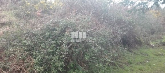 Grundstück in Marco de Canaveses, Portugal 7350m², Nr. 57726 4