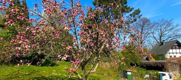 1000m² Land in Fernitz-Mellach, Austria No. 145954 3