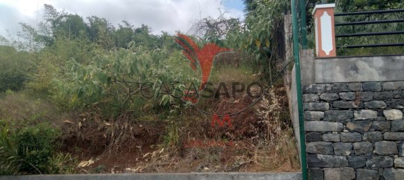  Land in Porto da Cruz, Portugal No. 89531 3