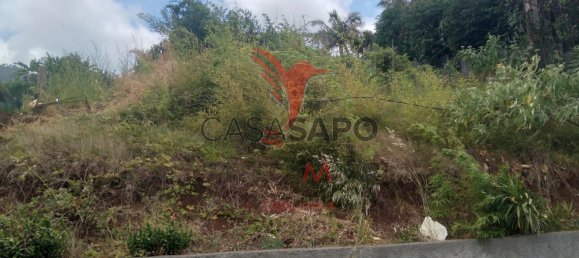  Land in Porto da Cruz, Portugal No. 89531 2