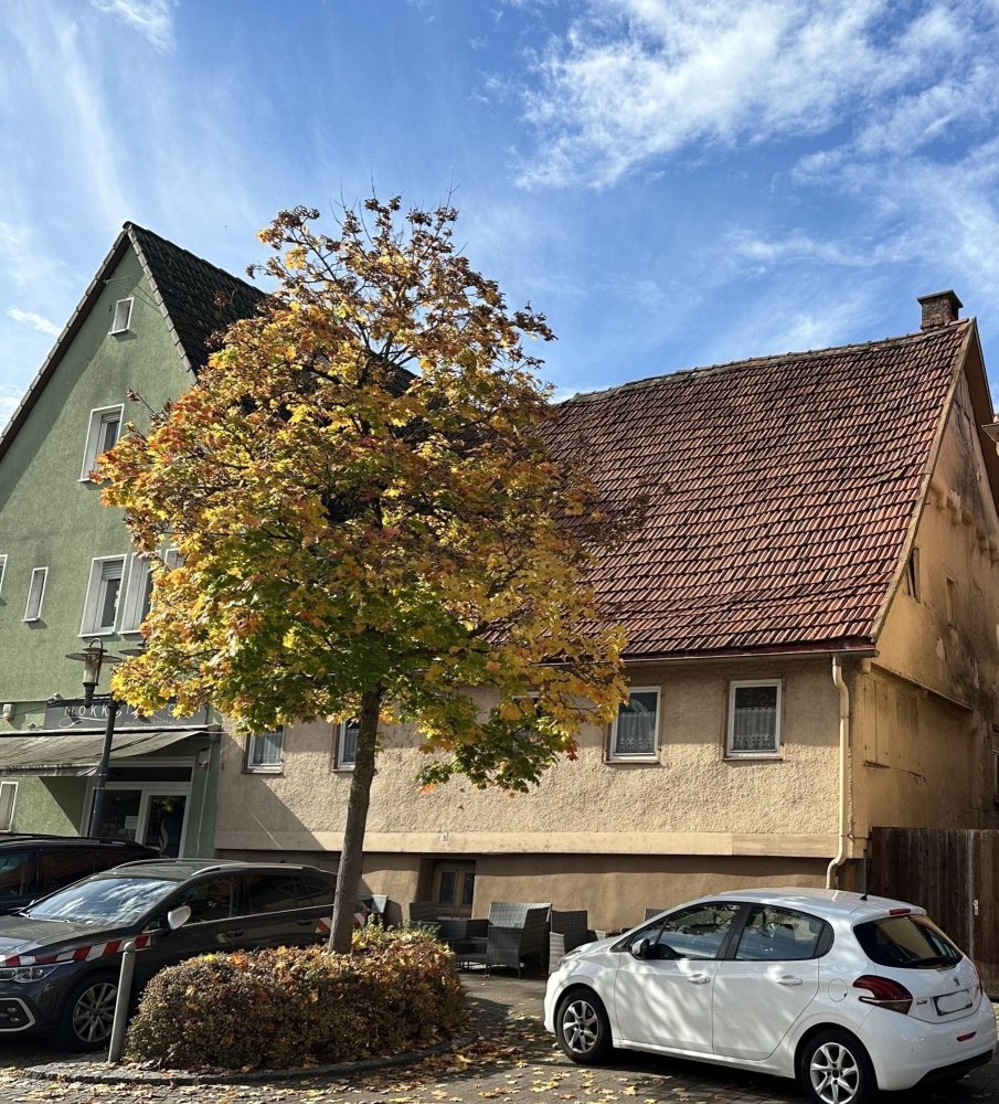  Castillos de 8 habitaciónes en Baden-Wurttemberg, Germany No. 55281