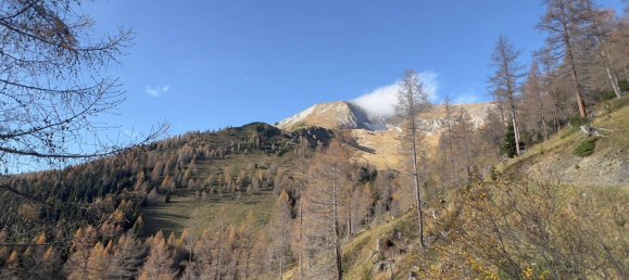  قطعة أرض في Tamsweg, Austria رقم 89012 15