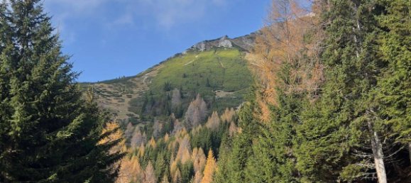  قطعة أرض في Tamsweg, Austria رقم 89012 19