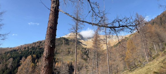  قطعة أرض في Tamsweg, Austria رقم 89012 14