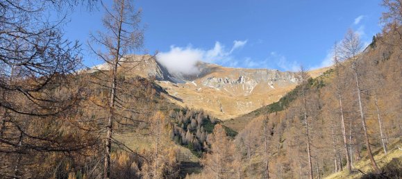  قطعة أرض في Tamsweg, Austria رقم 89012 17