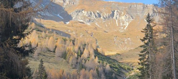  قطعة أرض في Tamsweg, Austria رقم 89012 4