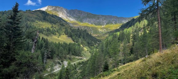  قطعة أرض في Tamsweg, Austria رقم 89012 3