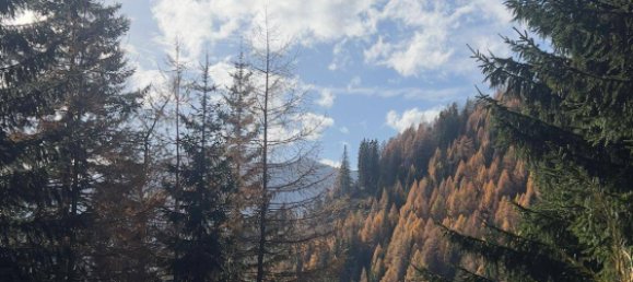  قطعة أرض في Tamsweg, Austria رقم 89012 16