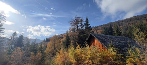  قطعة أرض في Tamsweg, Austria رقم 89012 18