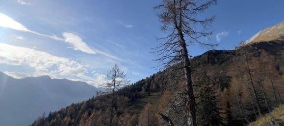  قطعة أرض في Tamsweg, Austria رقم 89012 9