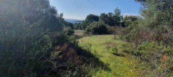 23000m² Hotel in Chalkidiki, Greece No. 2134 10