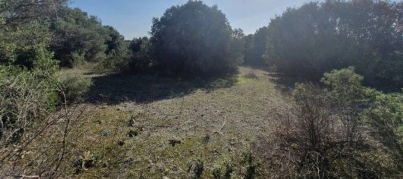 23000m² Hotel in Chalkidiki, Greece No. 2134 11