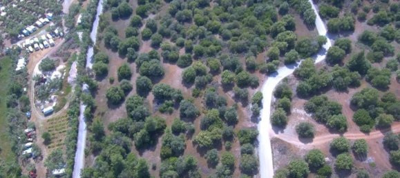 23000m² Hotel in Chalkidiki, Greece No. 2134 9