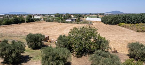 6-salle Maison à Montalto di Castro, Italy No. 84506 16