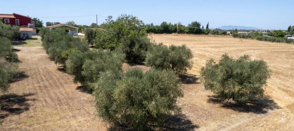 6-salle Maison à Montalto di Castro, Italy No. 84506 15