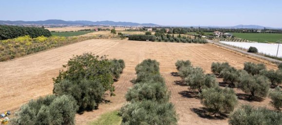 6-salle Maison à Montalto di Castro, Italy No. 84506 14