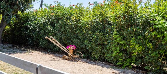 6-salle Maison à Montalto di Castro, Italy No. 84506 24