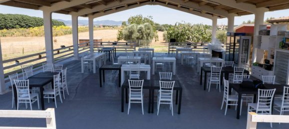 6-salle Maison à Montalto di Castro, Italy No. 84506 20