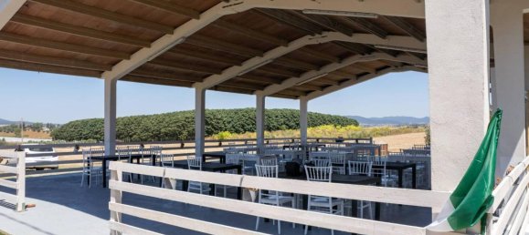 6-salle Maison à Montalto di Castro, Italy No. 84506 21