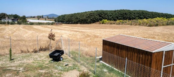 6-salle Maison à Montalto di Castro, Italy No. 84506 18