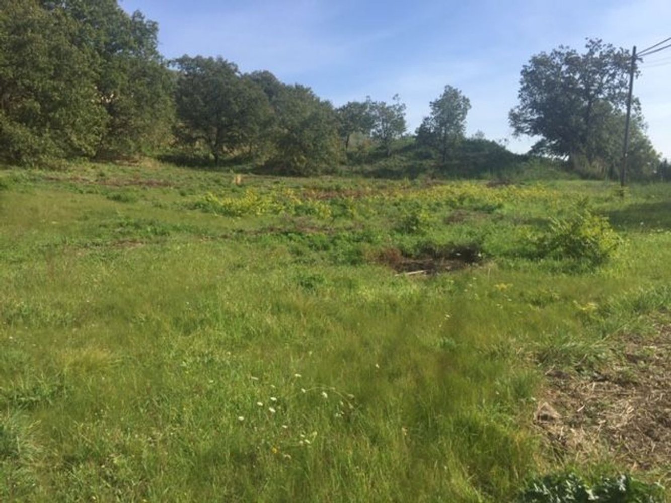  قطعة أرض في Piazza Armerina, Italy 11000متر مربع رقم 256296